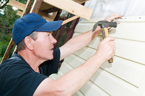 Best Custom Trim and Detailing for Siding  in Urbana, IL