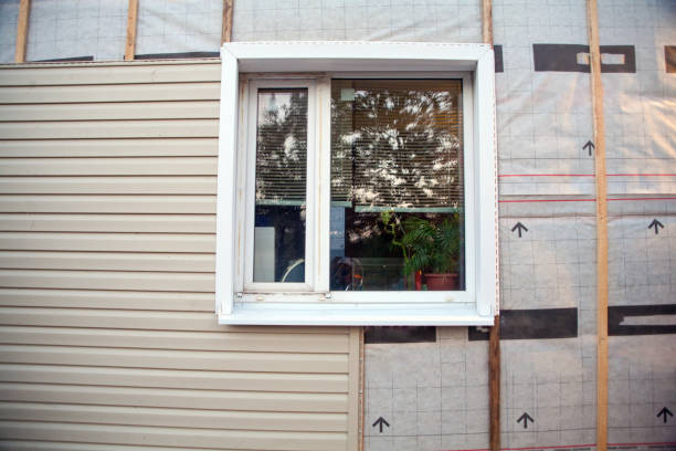 Best Vinyl Siding Installation  in Urbana, IL