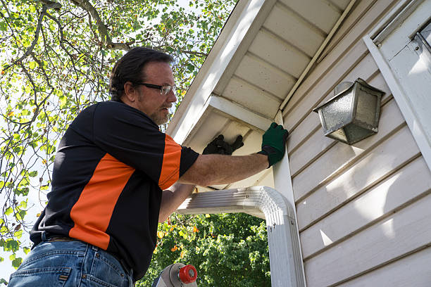 Best Fascia and Soffit Installation  in Urbana, IL